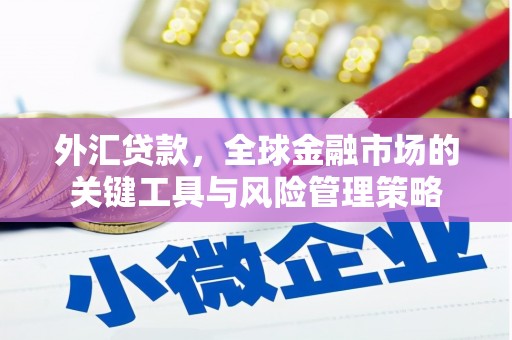 正镶白旗外汇贷款，全球金融市场的关键工具与风险管理策略