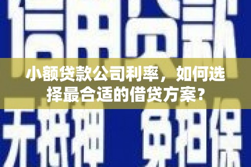 正镶白旗小额贷款公司利率，如何选择最合适的借贷方案？