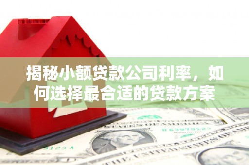 正镶白旗揭秘小额贷款公司利率，如何选择最合适的贷款方案