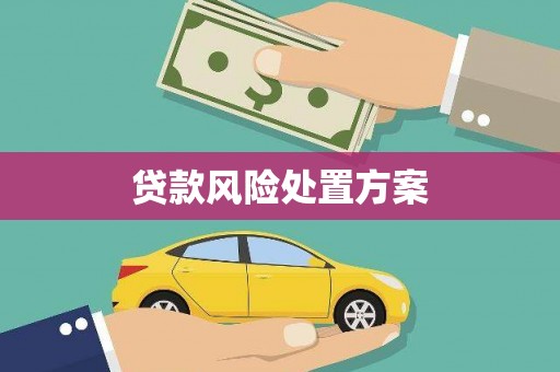 正镶白旗贷款风险处置方案