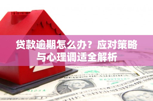 正镶白旗贷款逾期怎么办？应对策略与心理调适全解析