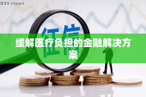 正镶白旗缓解医疗负担的金融解决方案