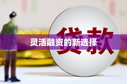 正镶白旗灵活融资的新选择