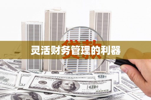 正镶白旗灵活财务管理的利器