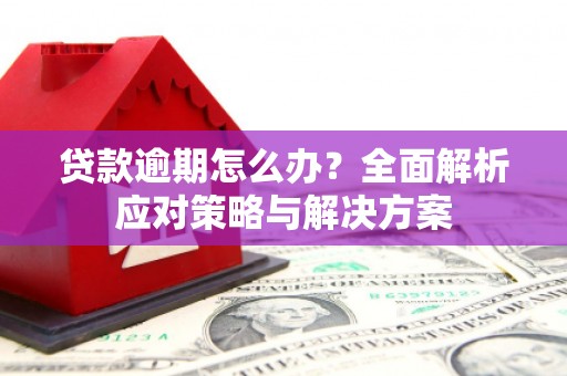 正镶白旗贷款逾期怎么办？全面解析应对策略与解决方案