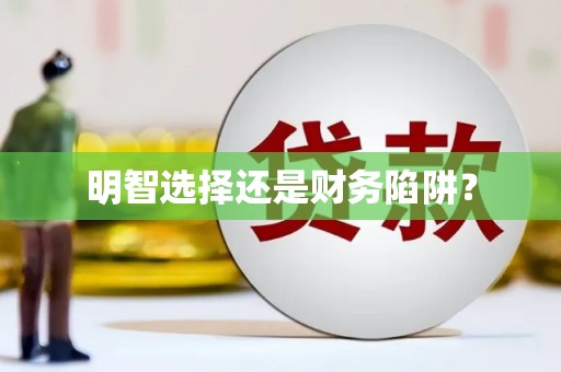 正镶白旗明智选择还是财务陷阱？