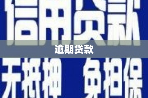 正镶白旗逾期贷款
