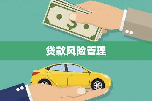 正镶白旗贷款风险管理