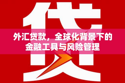 正镶白旗外汇贷款，全球化背景下的金融工具与风险管理